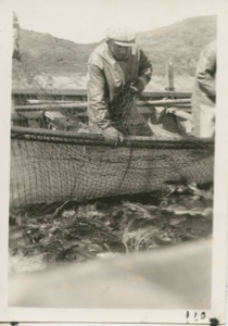 Image: Fishing